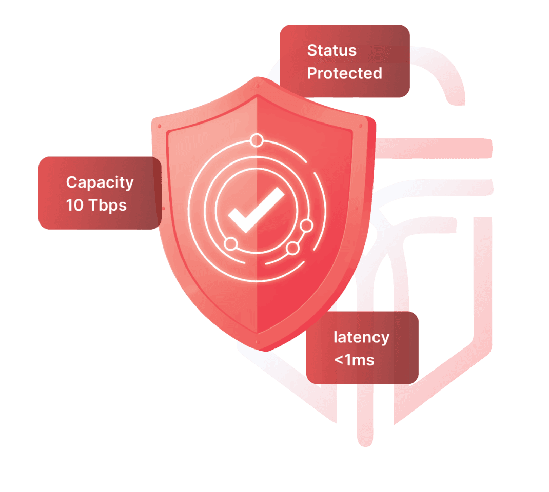 DDoS Protection